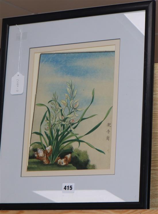 Japanese School, woodblock print, Study of an orchid, signed in the plate, 29 x 22cm